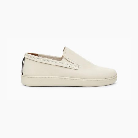 UGG Pismo Slip-On White Sneakers for Men (AGJX34285)